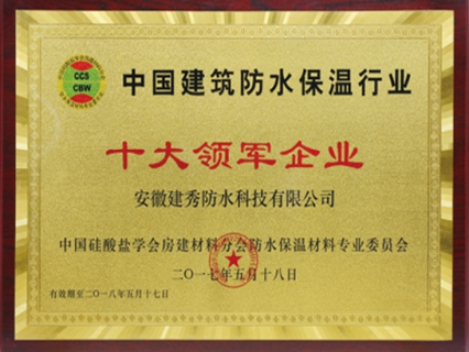十大领军企业