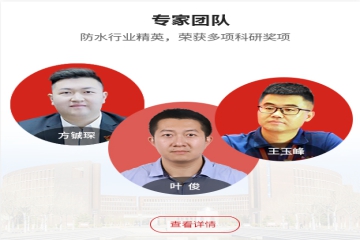 专家团队