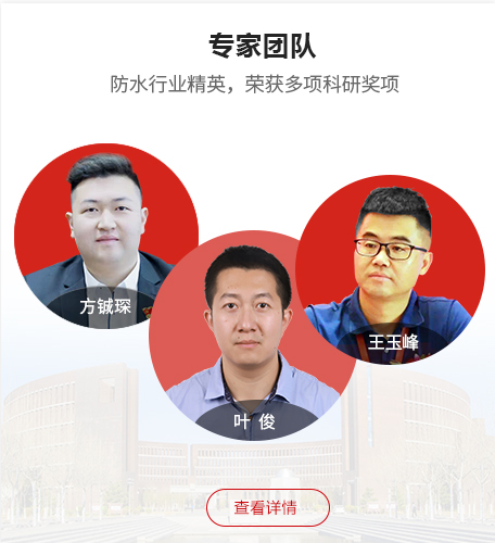 专家团队