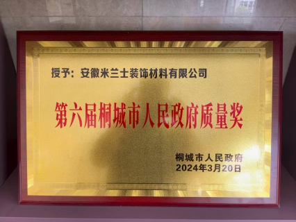 第六届桐城市人民政府质量奖