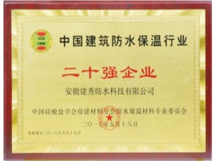 二十强企业