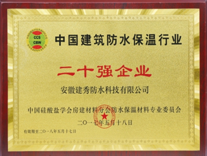 二十强企业